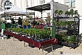 VBS_0815 - Anteprima FloReal 2025
